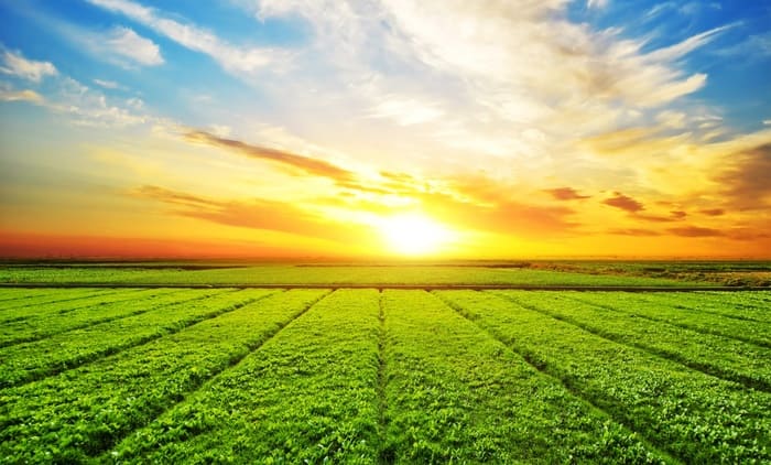 Environmental and Economic Benefits
